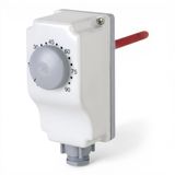 RAK342.RA – Thermostat plongeur de régulation pour l'eau